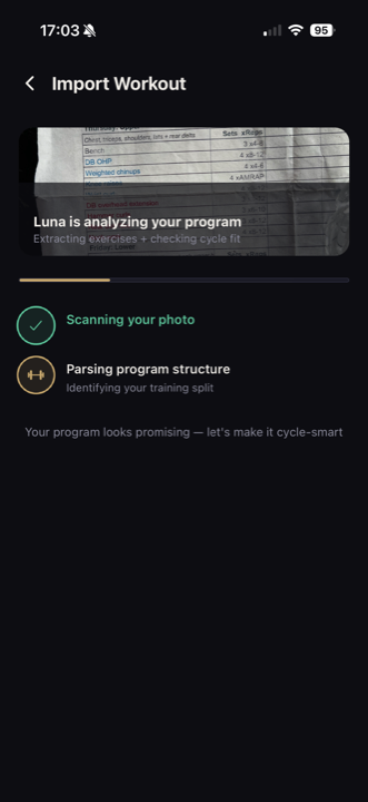 Luna scanning your program photo